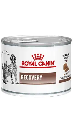 Royal Canin Vet Recovery Canino y Felino | Alimento húmedo (lata) | 12 x 195 g