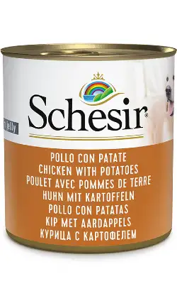 Schesir Dog Chicken and Potato Wet Food in Gelatin | Wet (Can) | 16 x 285g