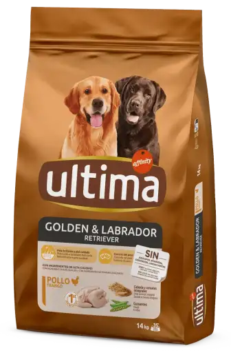 Ultima Pienso Golden y Labrador