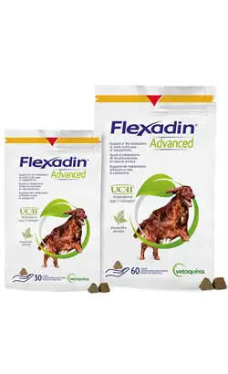 Vétoquinol Flexadin Advanced Supplement for Dogs | 30 Tablets