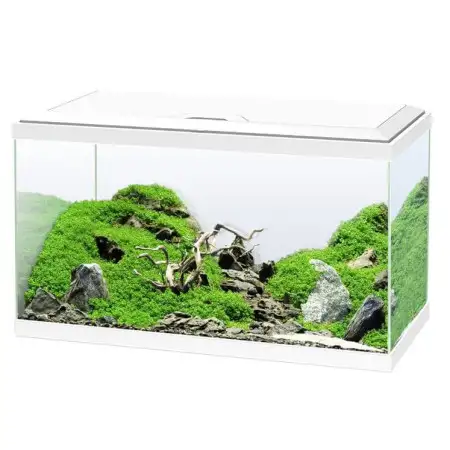 Acuario Blanco Ciano 60 Plus con Luz LED, Filtro y Calentador