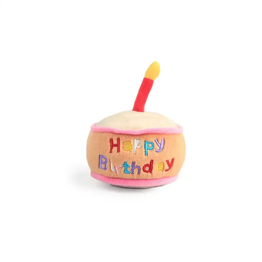 All For Paws Birthday Treasure Peluche variado para perros