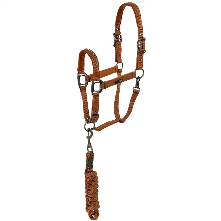 ANKY Juego de Cabestro Stones Oxido