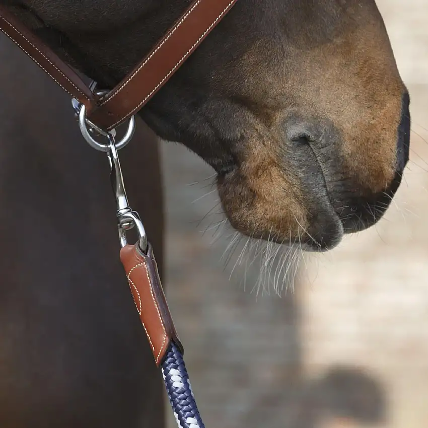 Riendas para caballo Signature by