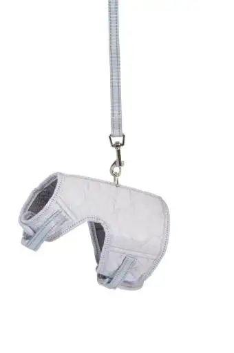 Camon Arnes Invierno Transp. Con Correa