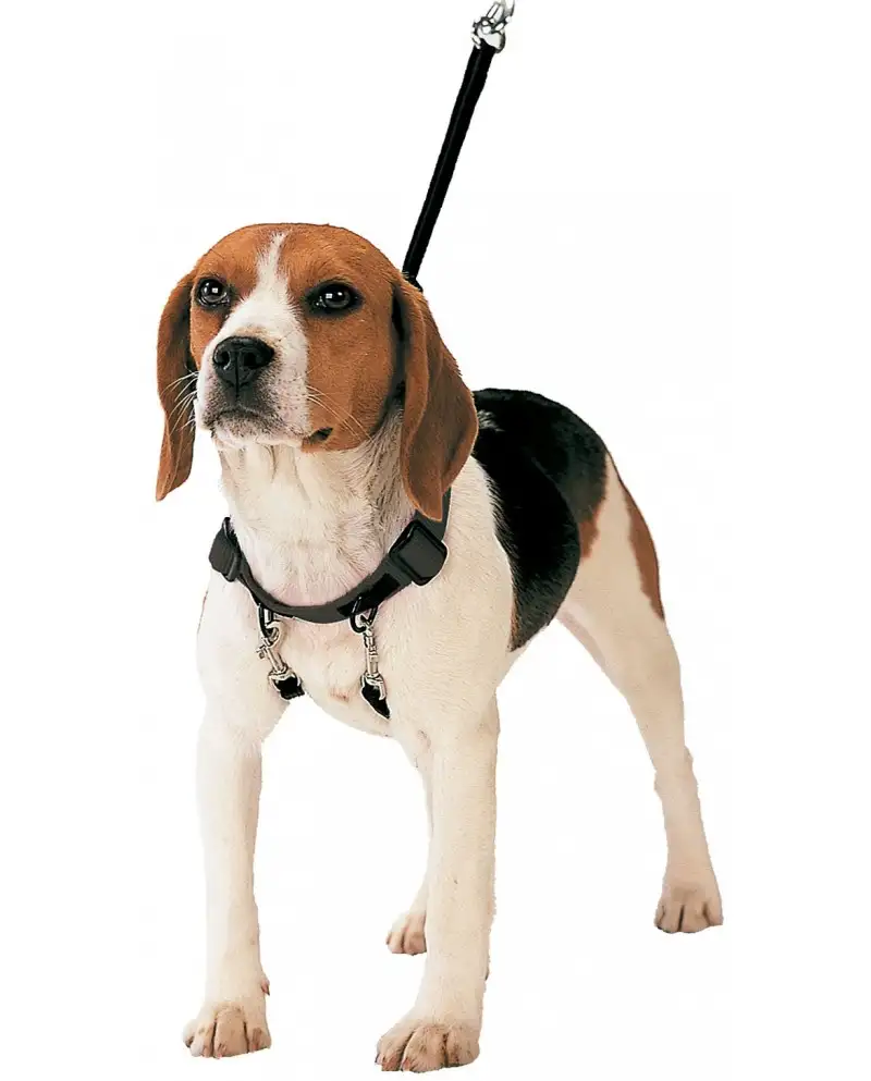 Arnés Corrector de Tiro Gloria Pets Para Perros