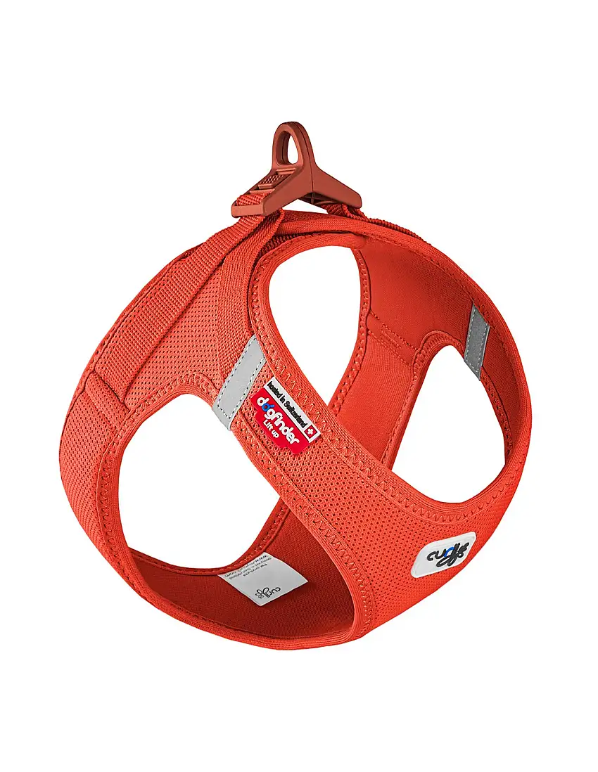 Arnés Curli modelo Clasp color naranja