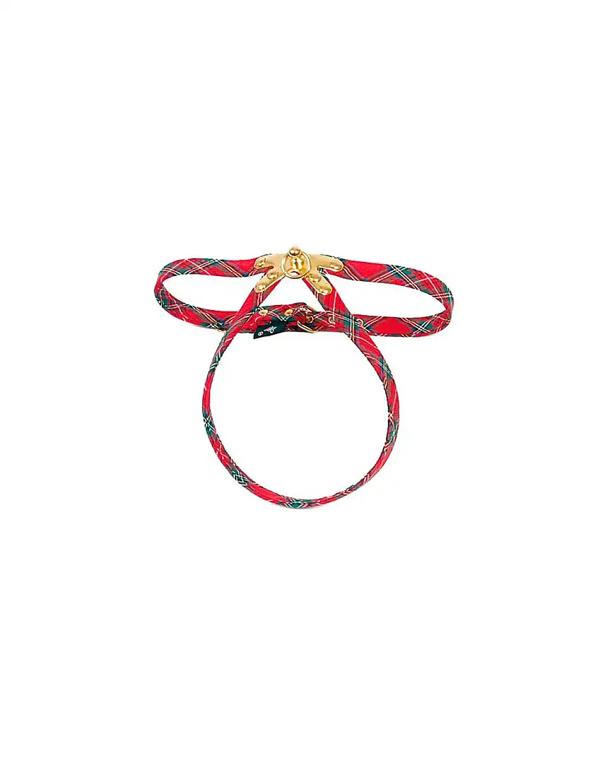 Arnes para perros de ECOSSAIS BENTON