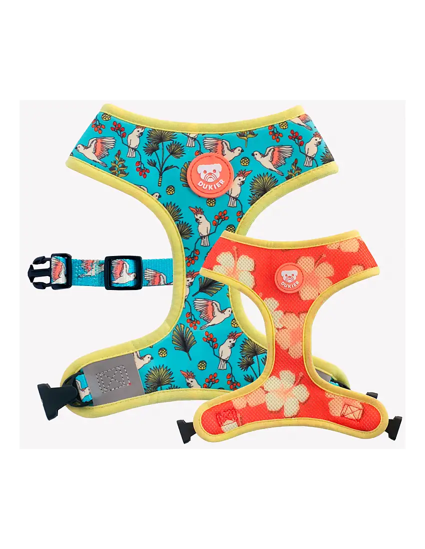 Arnés para perros DUKIER modelo Birds