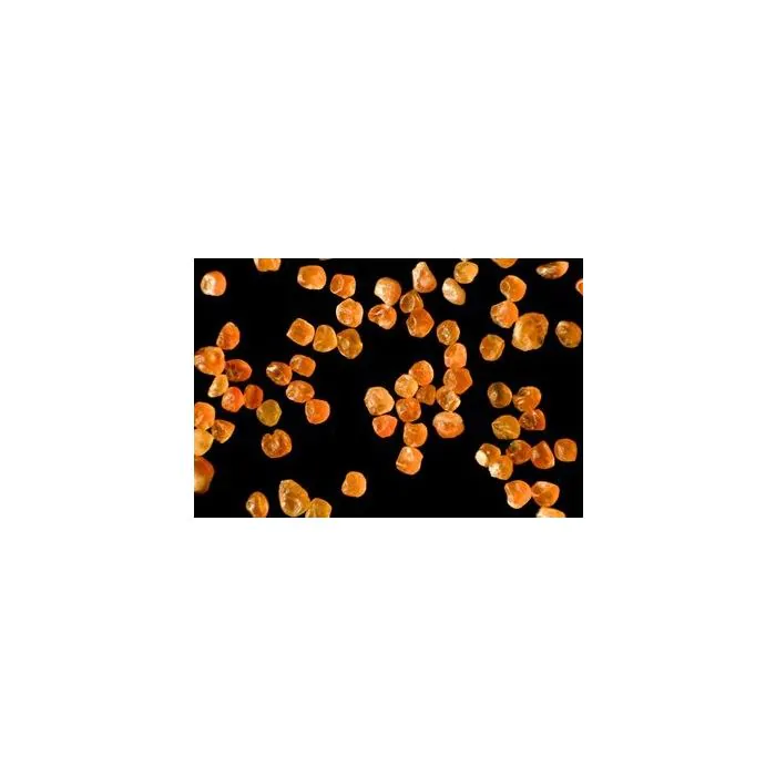 Artemia Shell Free (Ocean Nutrition) 50 gr.