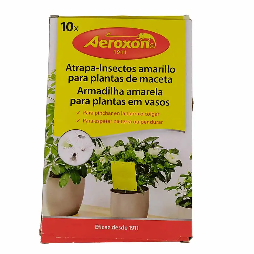 Pegatinas Atrapa-Insectos para plantas de maceta de Aeroxon