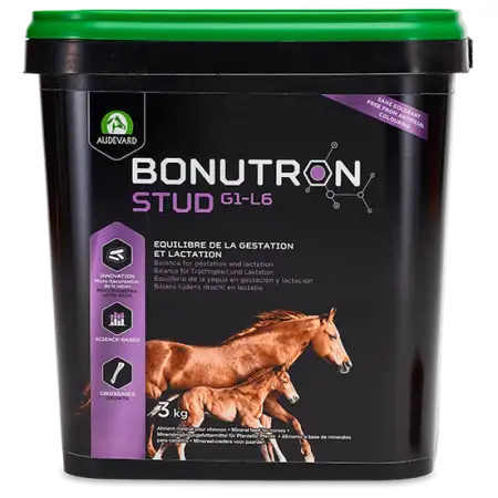 Audevard Bonutron Stud G1-L6 para Caballos