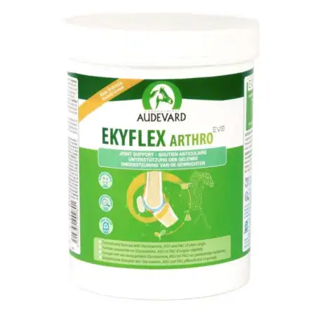 Audevard Ekyflex Arthro EVO para Caballos