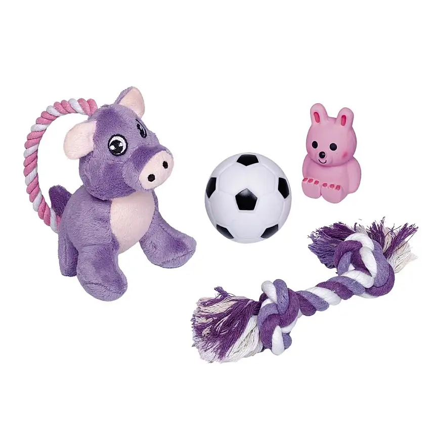 TOY STARTER DOG SET 4 PIECES