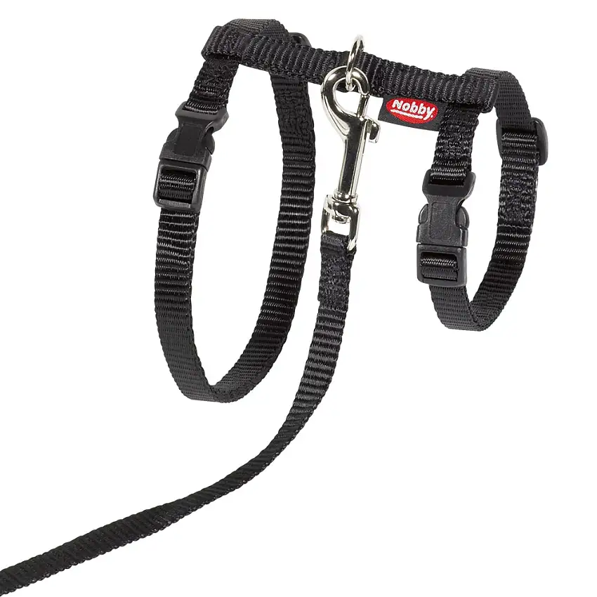 ARNES+CORREA CAT 34-57 NG