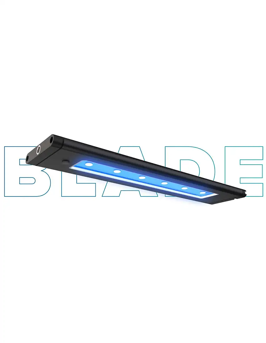 Blade Grow