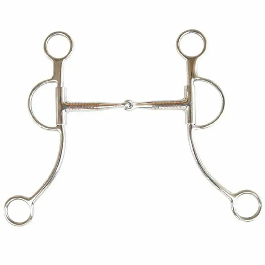 Bocado de brida para pivote de caballo roto