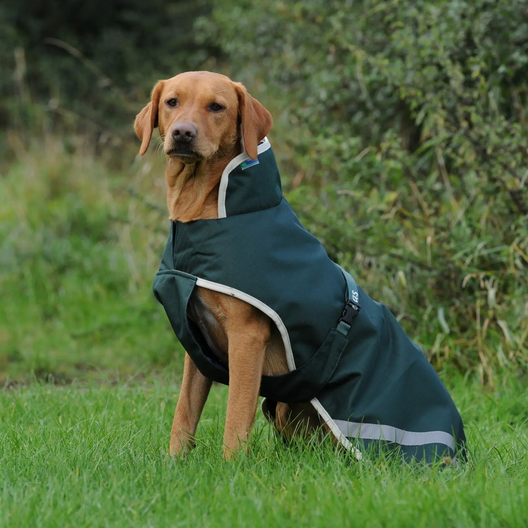 Abrigo para perro Greenline