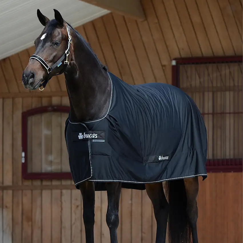 Manta de exterior para caballos Shamrock Power