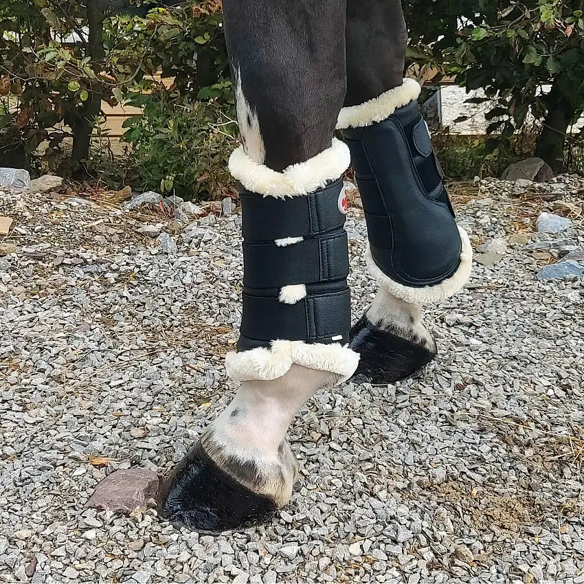 Cinturones de descanso para caballos Brushing