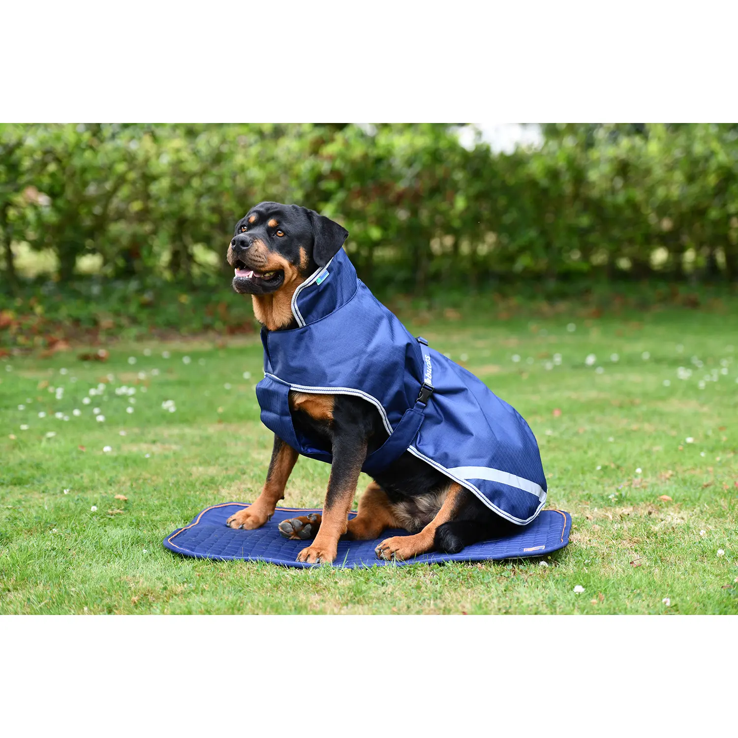Alfombrilla para perros Therapy Bed
