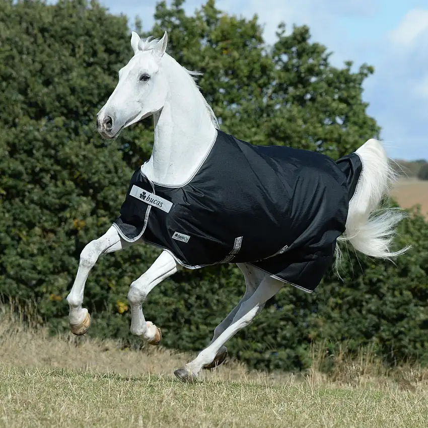 Manta exterior para caballo de cumpleaños 200g