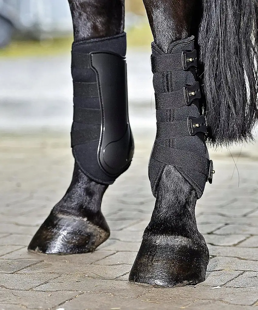 BUSSE Protección DRESSAGE-PRO - Negro, L (1 par)