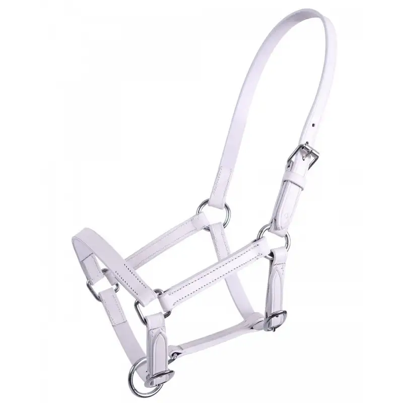 Cabezada de Cuadra de Piel para Potro "CHICO" de Q-ESSENTIALS