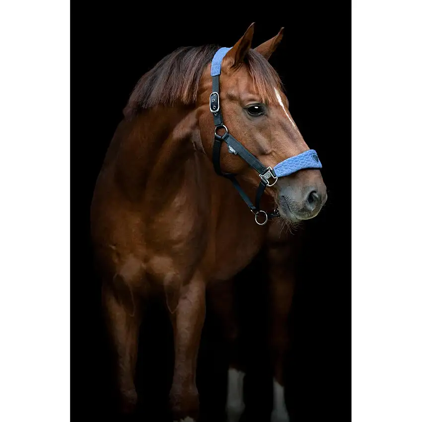 Cabestro para caballos FIR-Tech Grand