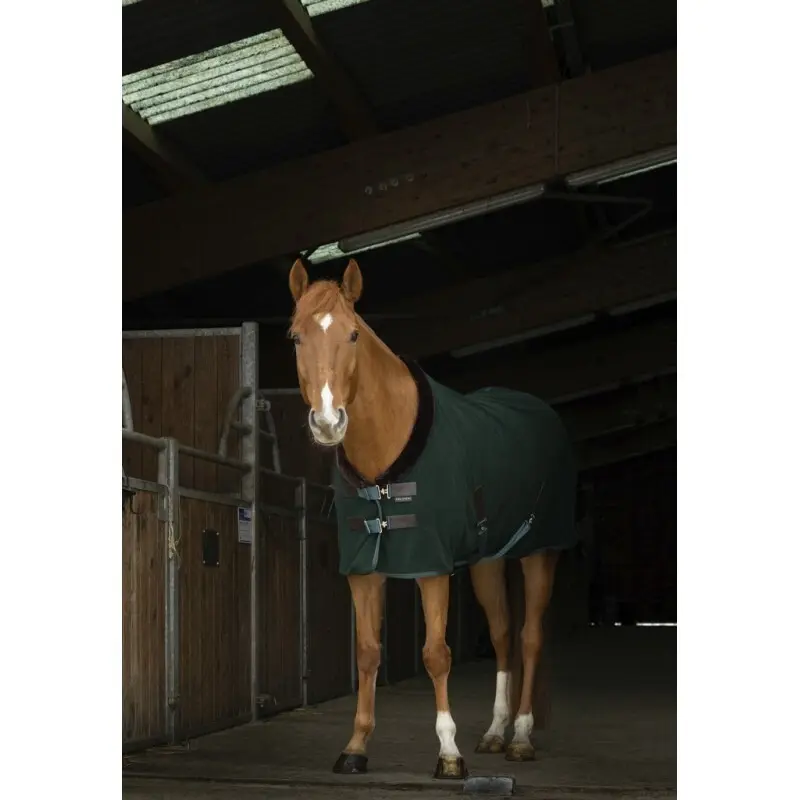 Camisa de caballo Teddy 0g