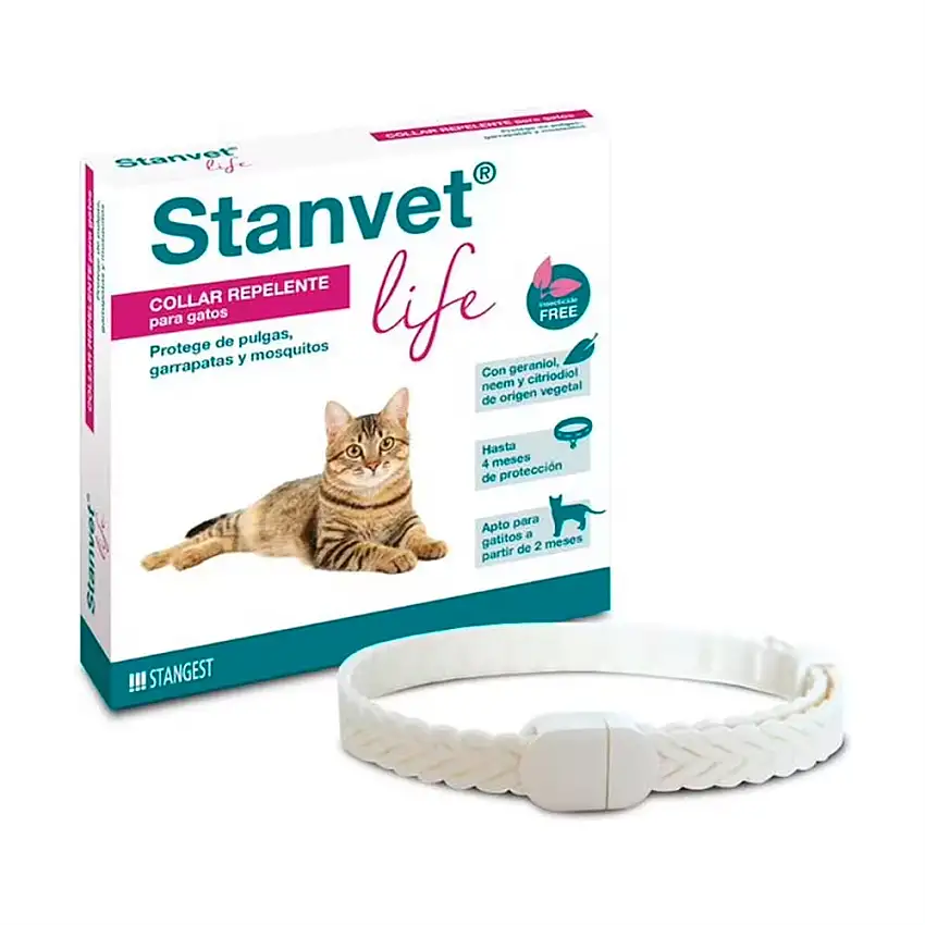 STANGEST Collar Stanvet Life Gatos