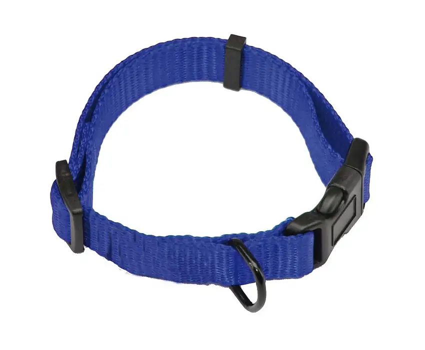 Collar Colti Azul Para Perros