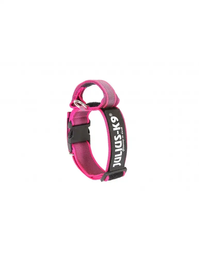 Collar Julius K9 Color&Gray Con Asa Rosa
