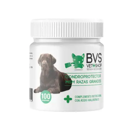 Condroprotector Razas Grandes MSM BVS Vet Shop