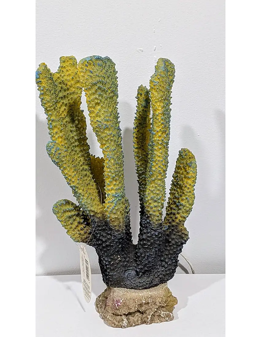 Coral Extra Grande