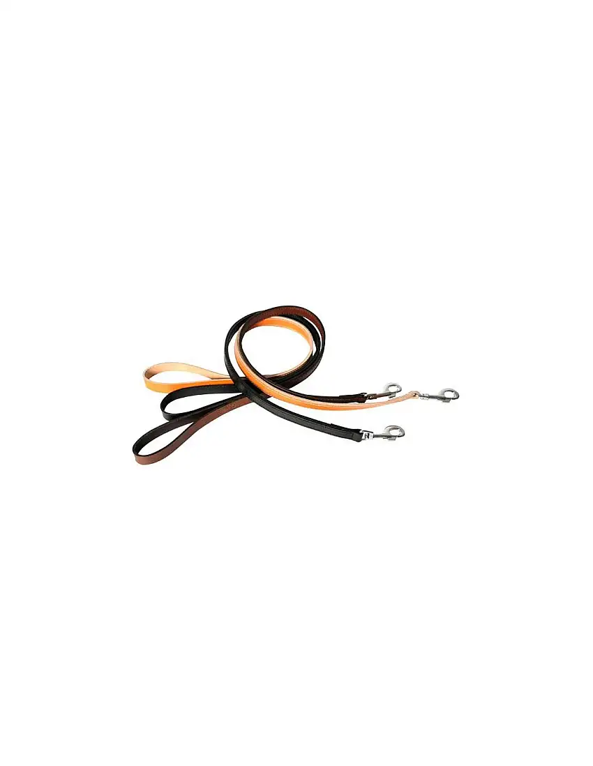 Correa para perro piel flor doble