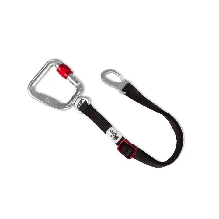 Cinturón de seguridad para perros V2