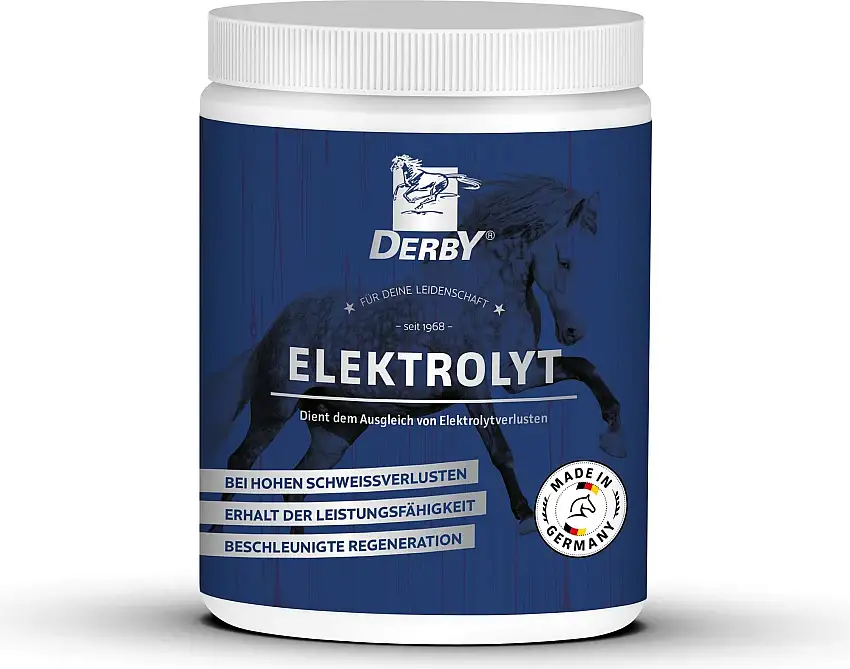 DERBY Electrolitos, 1 kg
