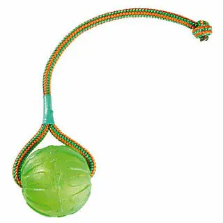 Pelota para perros con cuerda Everlasting Fun