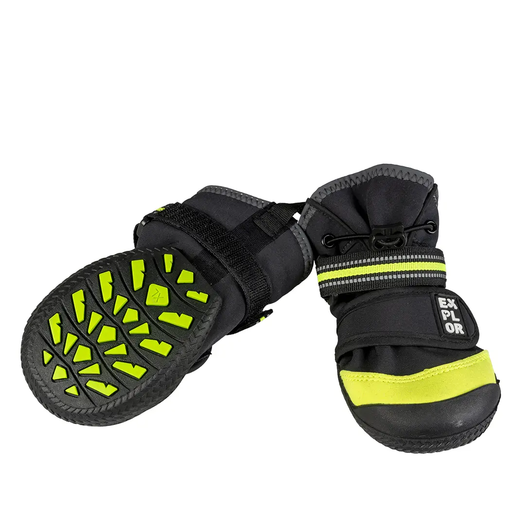 Zapatos para perros Gear