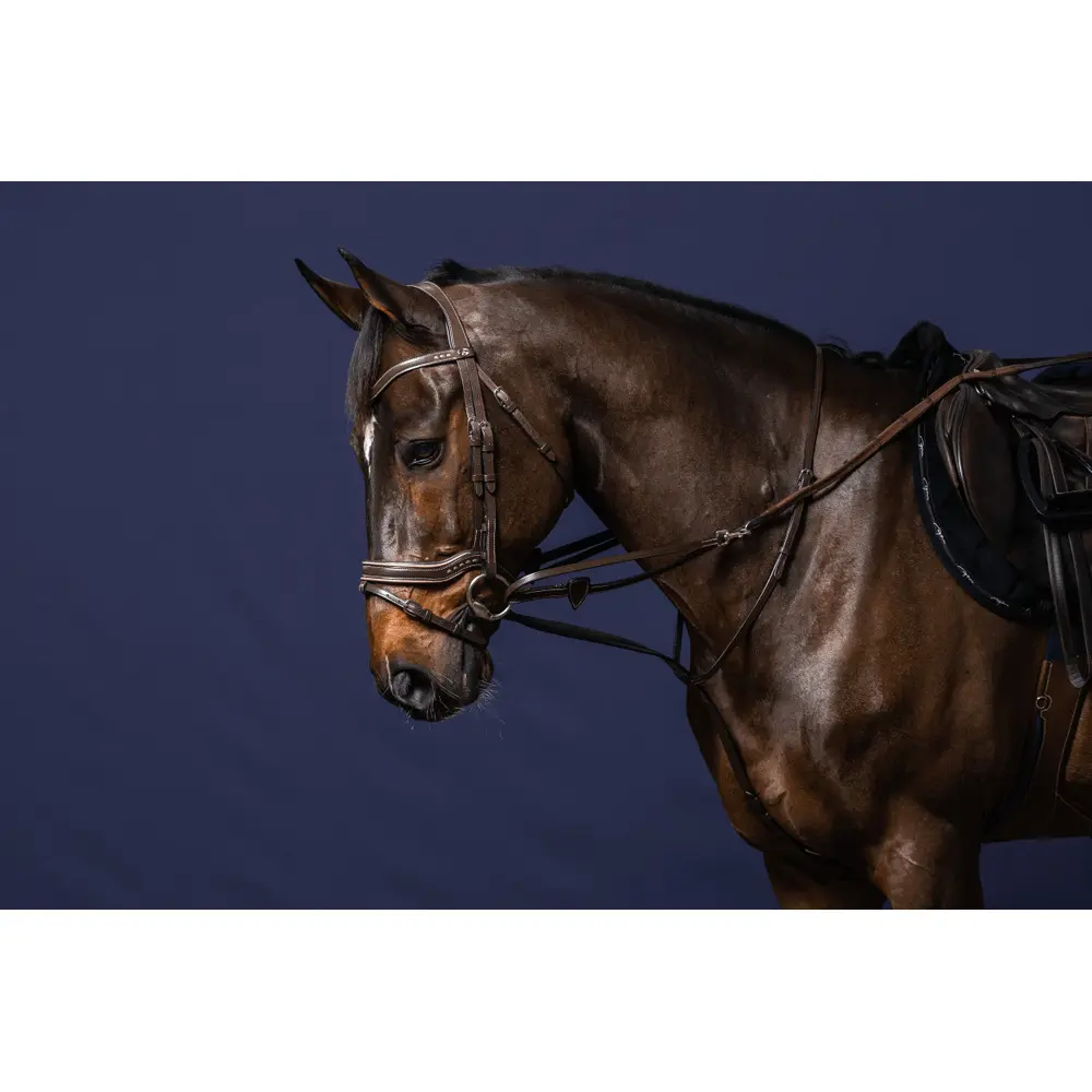 Riendas completas para caballos Howlett