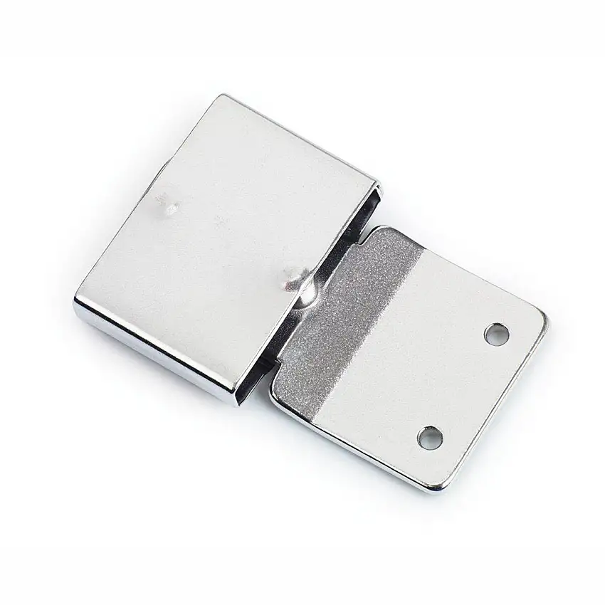 Hebilla para correa de montar (x2)