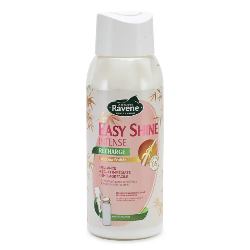 Recambio para spray Easy Shine Intense
