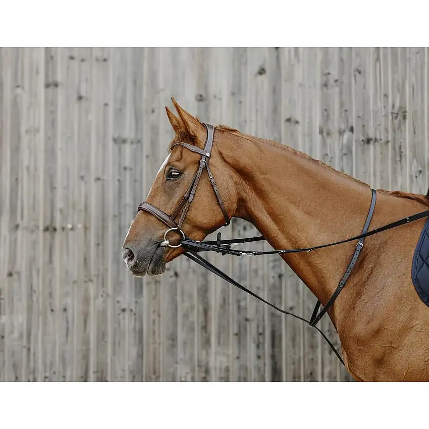 Riendas auxiliares elásticas para caballo Thiedeman