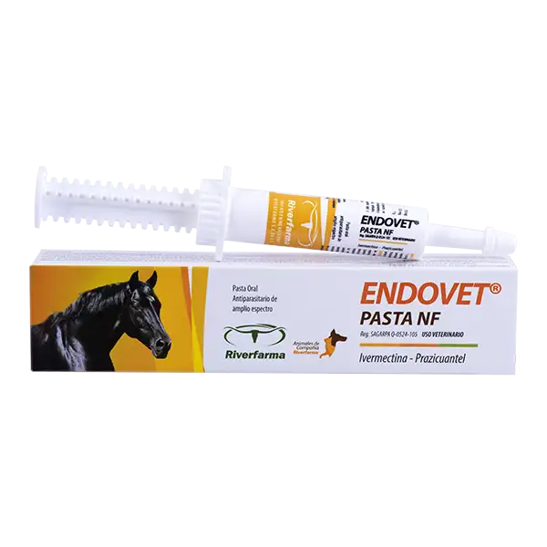 Endovet NF Pasta Caja con una jeringa de 14 g