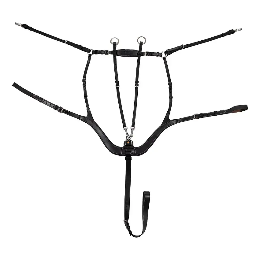 Collar de caza para caballos Anatomic