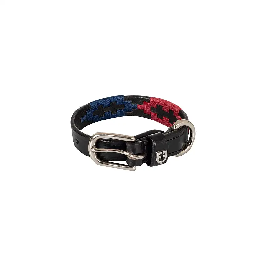 Collar para perro Polo S