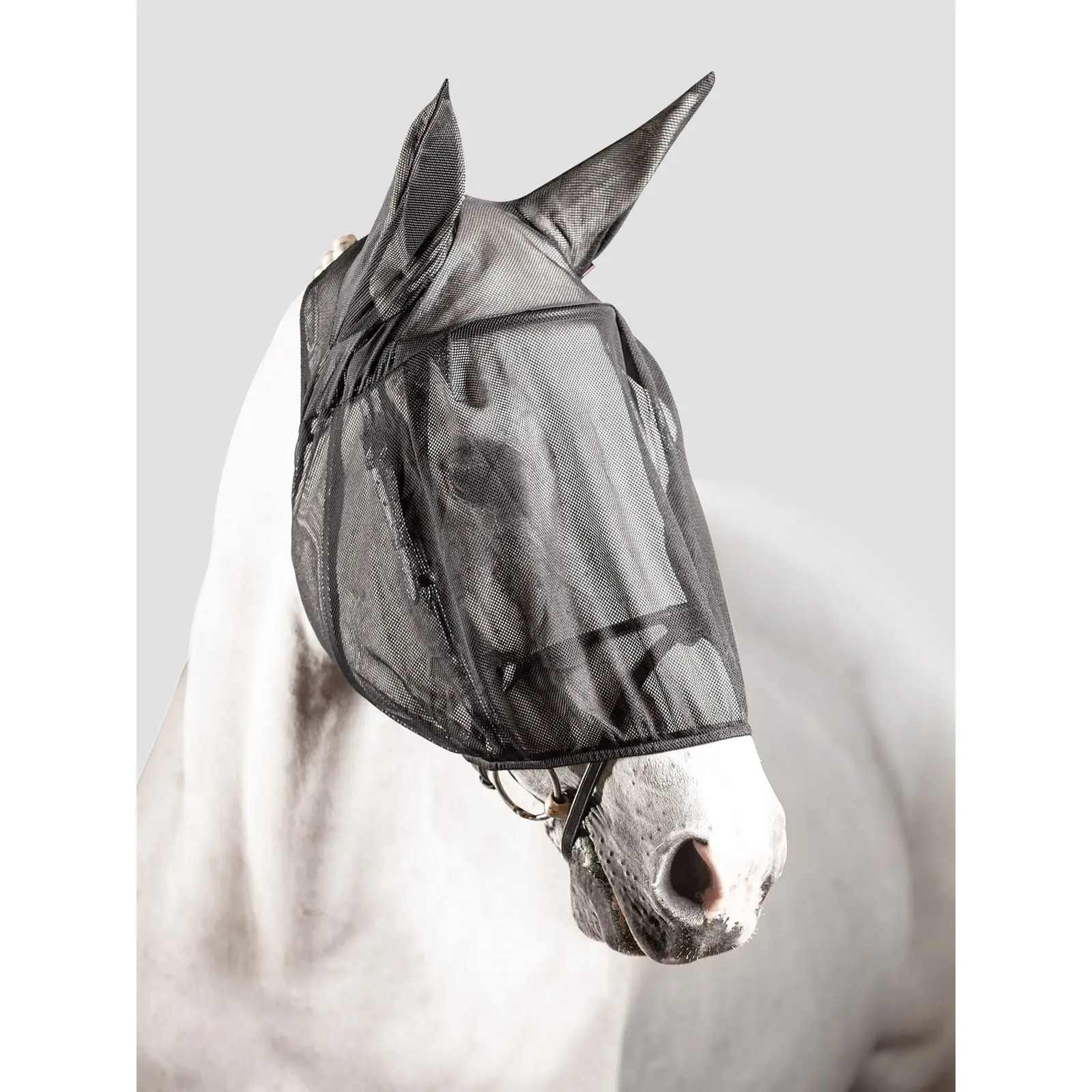 Máscara antimoscas equitación antimoscas para caballos