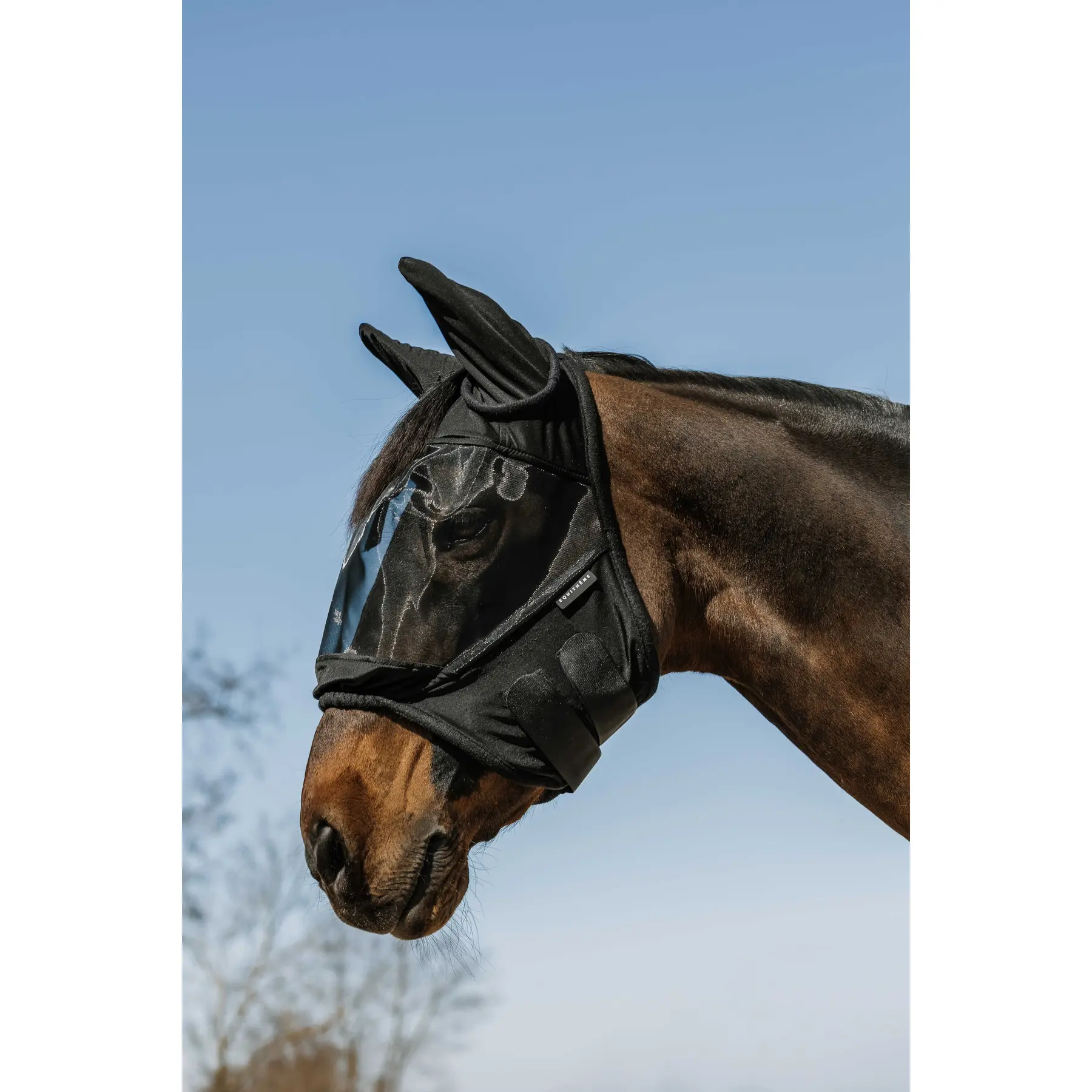Orejeras para caballo A-M.A.UV.Doux