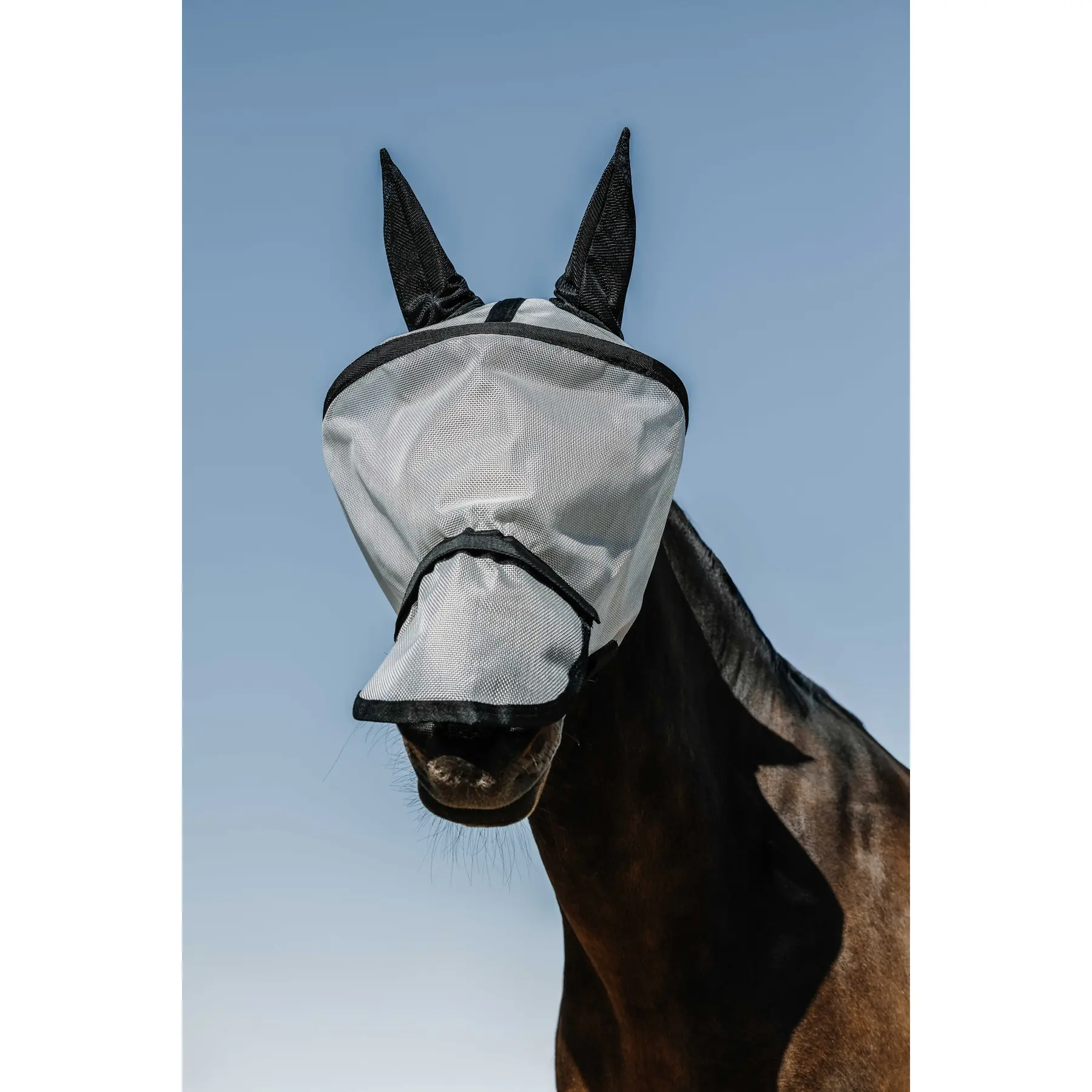 Orejeras para caballo ANT-M.A.UV.Protec